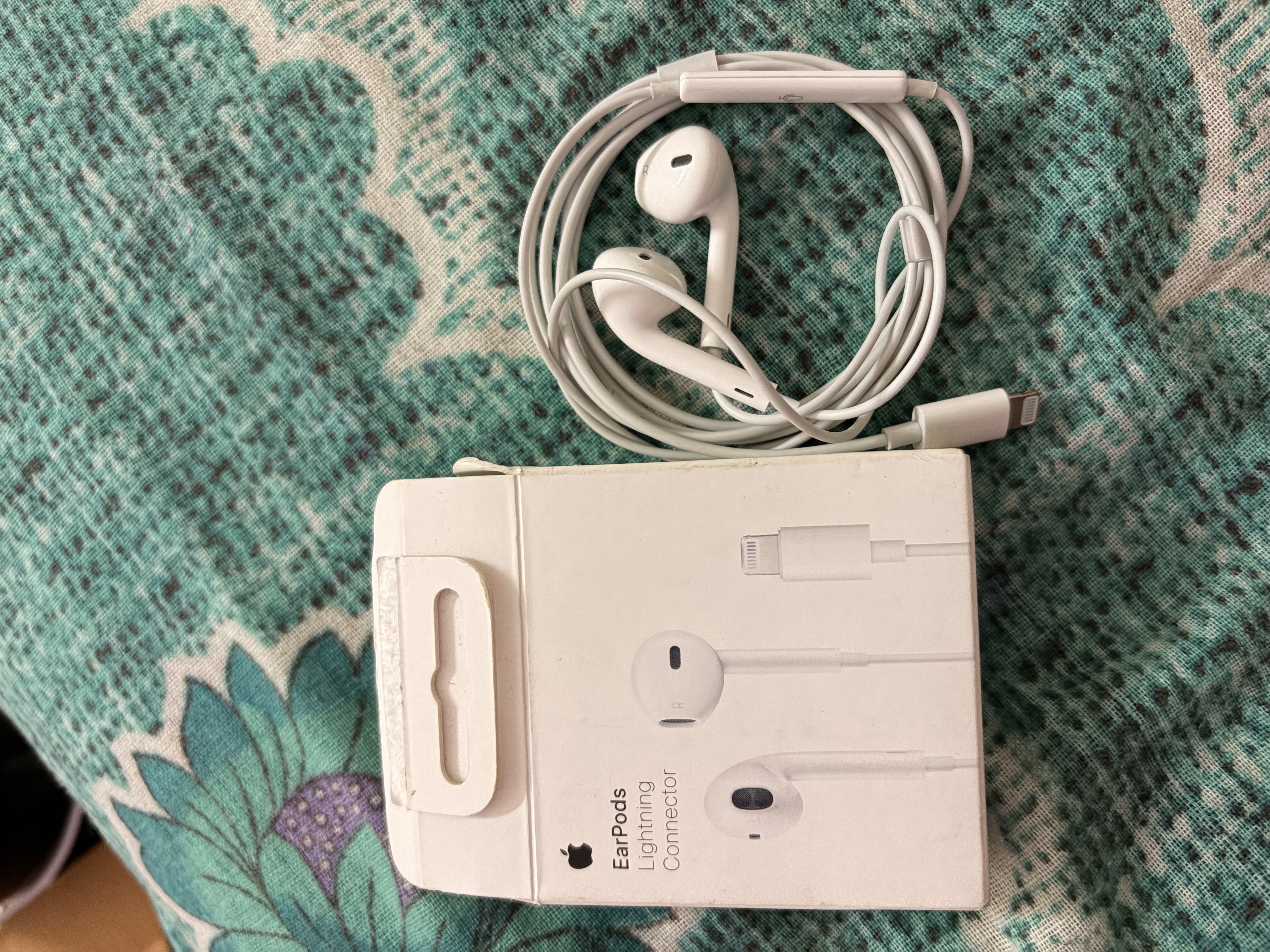 I phone 13 battery and Lightning EarPods